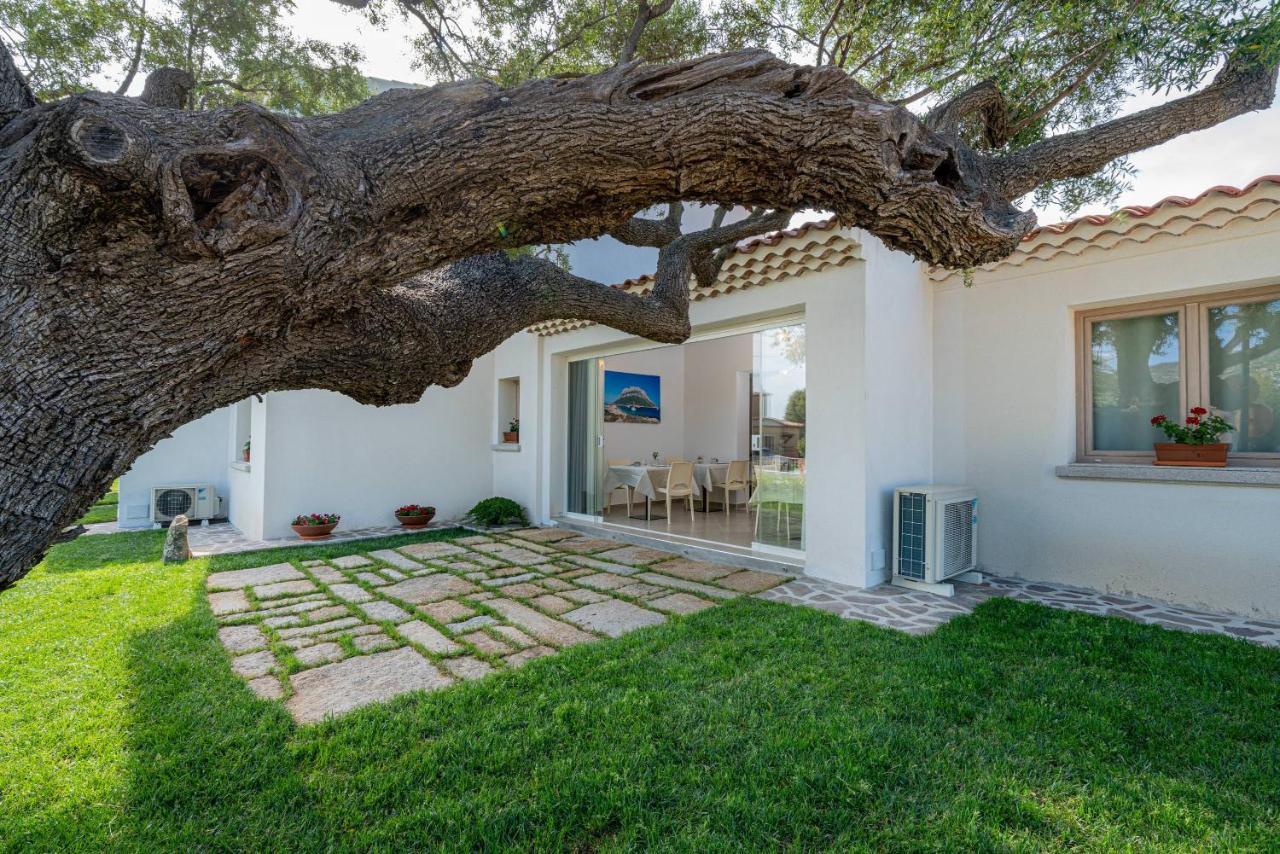 Отель Residenza L'Alzoni Сан-Теодоро Экстерьер фото